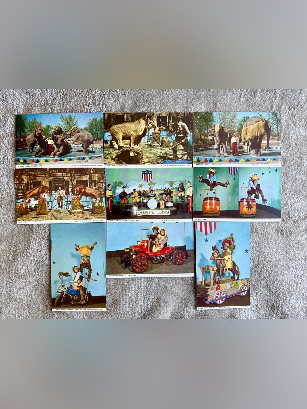 Set of 9 Vintage St Louis Zoological Gardens Postcards